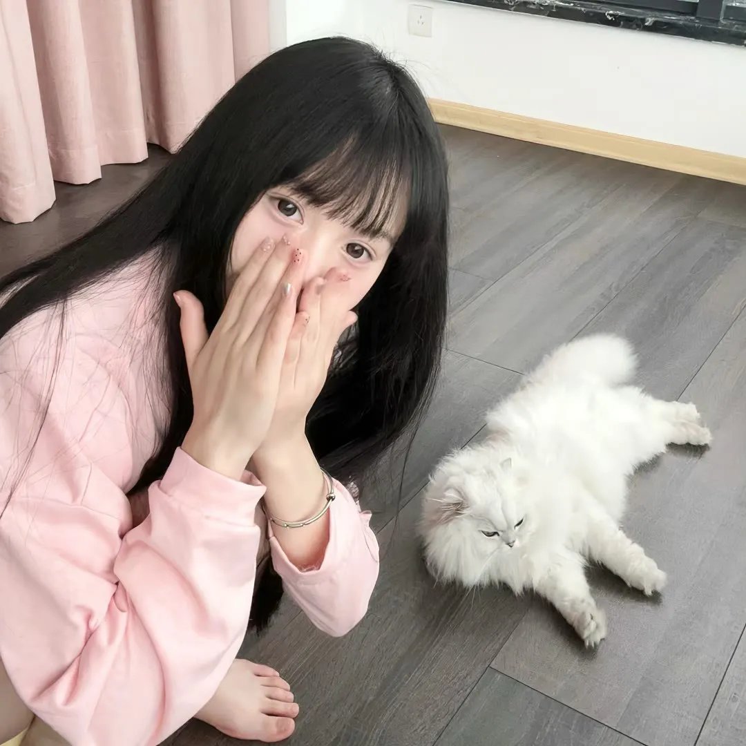 我的宠物是大象